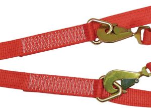 Winch brother strap with floating delta eye for equal pull