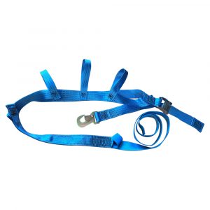 RDT Blue Webbing Strap for over 20″ Wheels with Load Rating Tag