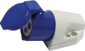 Blue Socket 3 pin, 16 amp, with cable gland